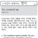 be cooped up(틀어박히다) 이미지
