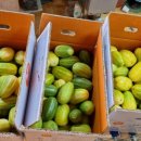 신철호농장 이미지