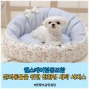 웰스케어협동조합 이미지