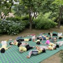 수정공원 Daum카페