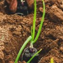 국선 행정사 사무소 이미지