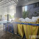 블루마레 이미지