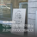 코코바코 이미지