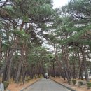 DMZ 평화쉼터 | DMZ평화의 길 33코스 화진포~송지호까지