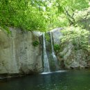 백상약국 이미지