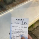 도나에스테틱