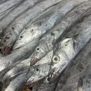 총각네수산 이미지