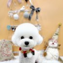 도꾸살롱 이미지