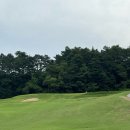 (주)그린투 | 로얄포레 CC 오전 1부 라운딩 - 잔디 &amp; 그린 상태, 조식 식당, 그늘집 후기