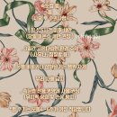 아이비 | 서면속눈썹펌 자연스럽게 잘하는 전포속눈썹 아이비 래쉬 방문 후기