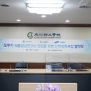 오뚜기인력 이미지