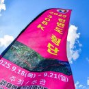 2025한반도횡단 참가 이미지