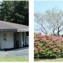 오라사우나 이미지