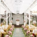 더그레이스켈리 이미지