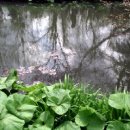 모네의 정원 이미지