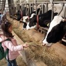 우천목장 이미지