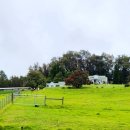 능성농장 이미지