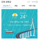 8월11일(금)김포.강화 날씨 이미지