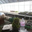 우들농장 이미지