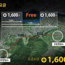 강남-258 이미지