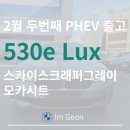 임건에너지 | [출고후기] 2월 두번째 PHEV 530e 럭셔리 스카이스크래퍼그레이/모카시트(530e Lux_LCI 제원/옵션/모의...