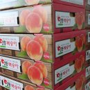 성일농원 이미지