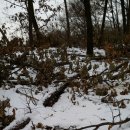 큰고을농원 이미지