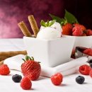 개밥맛집 이미지