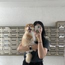 온유동물병원 | 순천 동물병원ㅣ온유 동물 병원 강아지 피부병 진료 1회차