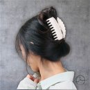 다원 이미지