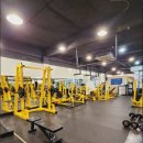 삼손헬스 이미지