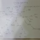 날마다 뽀끄땡스-김동규 이미지