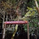 난타(야간) | 제주도 한라산 관음사 ~ 성판악 코스 후기/ 숙소 추천, 하산 후 택시, 관음사 휴게소 김밥