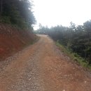 엄광산임도 이미지