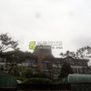 구미로185번길 이미지