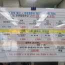 금오도 여천항 관광안내소 | 여수여행 금오도비렁길 트레킹 신기항 여천항 배타기