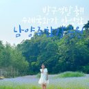 이번주말가기좋은 서울근교 남양주한강공원 삼패지구 다녀왔어요~