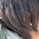 록담 | 등반기⛰️🤍