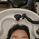 상신미용실 | 마산 경남대 미용실 홍단헤어 클리닉맛집이네요