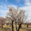 달무리수변공원A 이미지