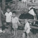 마산가축병원 이미지