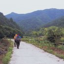 금산상회 네이버블로그