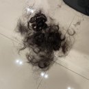 만촌동미용실 쌤시크 만촌아크로타워점 단골될것 같아요