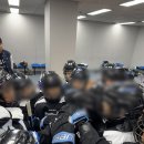 아이스베어스