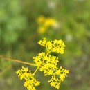 나무쉼터 이미지