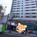 금성사우나 이미지