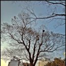 금석목장 이미지