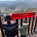 낭비성 | 2025년 4월 첫째 주 소비일기 — 가족을 위한 지출, 여행의 여운, 그리고 다시 일상으로