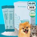 닥터맘마