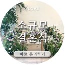 플로르미래 이미지